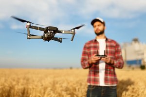 Landwirt steuert Drohne über reifes Kornfeld.
