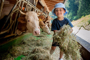 Urlaub auf dem Bauernhof ist bei Familien mit Kindern sehr beliebt und bietet ein hervorragendes Zusatzeinkommen für die Landwirtschaft.